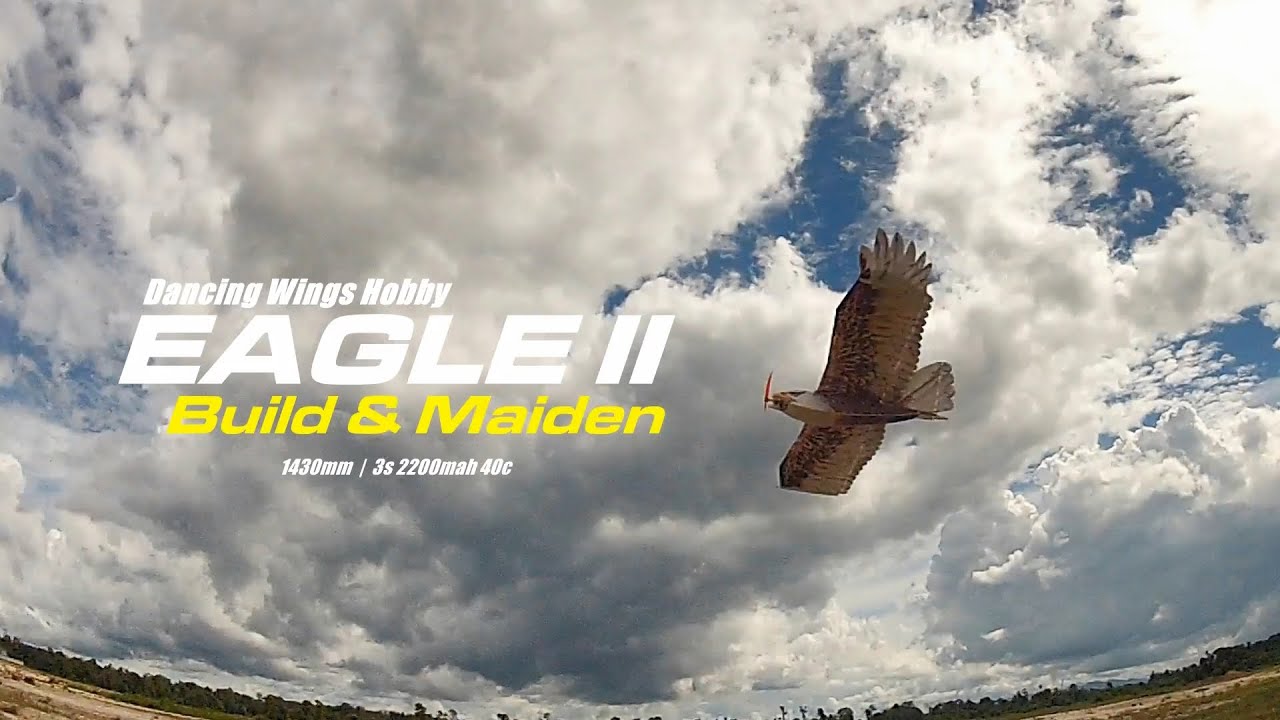 Dancing Wings Hobby - EAGLE II 1430mm build & maiden