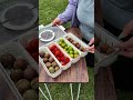 Smart Fruit Storage Box for Picnics, Camping & Fresh Snacks 🍓🍅🍇#FruitStorageBox #FruitOrganizer