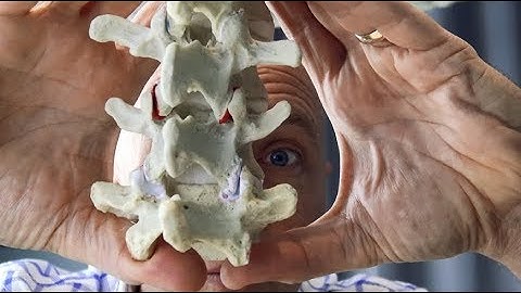 Clinical tip using dynamic models