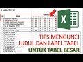 TUTORIAL EXCEL - MENGUNCI JUDUL TABEL DENGAN MUDAH PADA TABEL UKURAN BESAR - FREEZE PANES