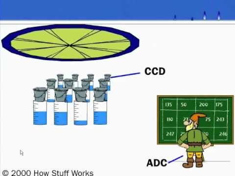 CCDs - An Analogy