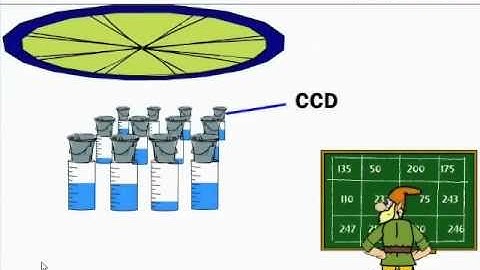 CCDs - An Analogy