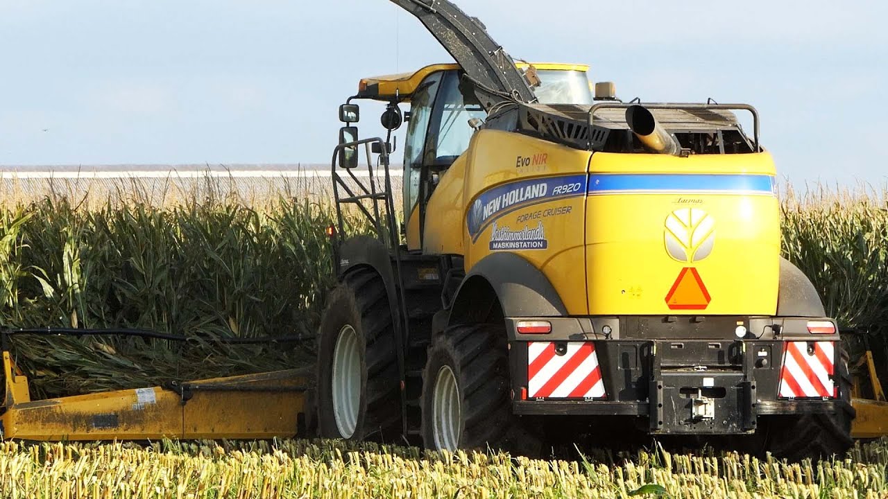 New Holland FR920 in the field chopping corn during 2020 & 2021 silage ...