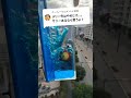 ほしい人コメントしてね!#ワンピース