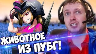 : : "  -   PUBG,   !"