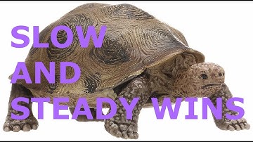 Slow and Steady Wins the Race | Luke Emulous