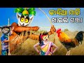 Kandia mari khaili ganja comedy   sambalpuri comedy chitrasen tv