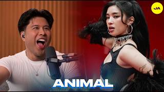 Performer Reacts to KATSEYE 'Animal' MV | Jeff Avenue