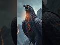 Black eagle #shorts #viralvideo #blackeagle #animals