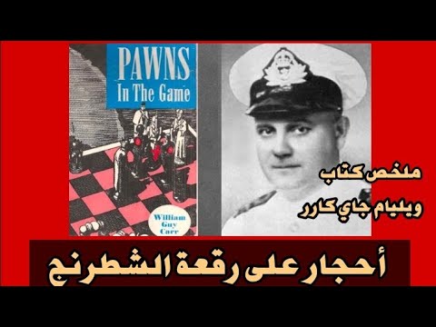 أحجار على رقعة الشطرنج        ملخص كتاب