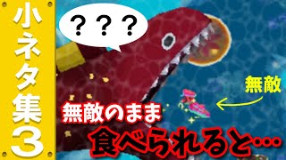 【DS】New スーパーマリオブラザーズ　小ネタ集３