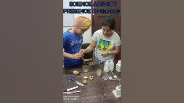 Beyond the Classroom, Real-World Learning & Unlocking Your Potential at "I QUEST LEARNING INSTITUTE"