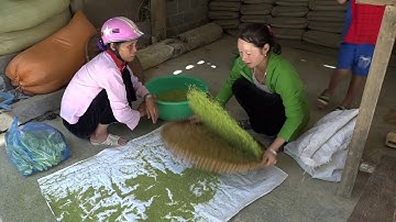 Thủ phủ làm cốm  - thôn Nà Lóng, xã Tú Lệ, huyện Văn Chấn -  Chợ đèo Khau Phạ, Yên Bái