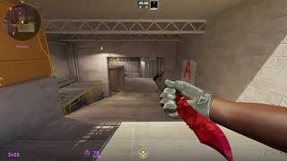 Bowie Knife Doppler Ruby CS2