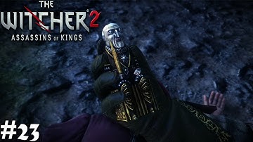 The Witcher 2 Assassin
