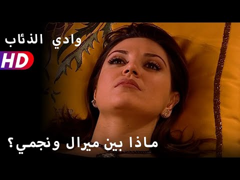 ماذا بين ميرال ونجمي 