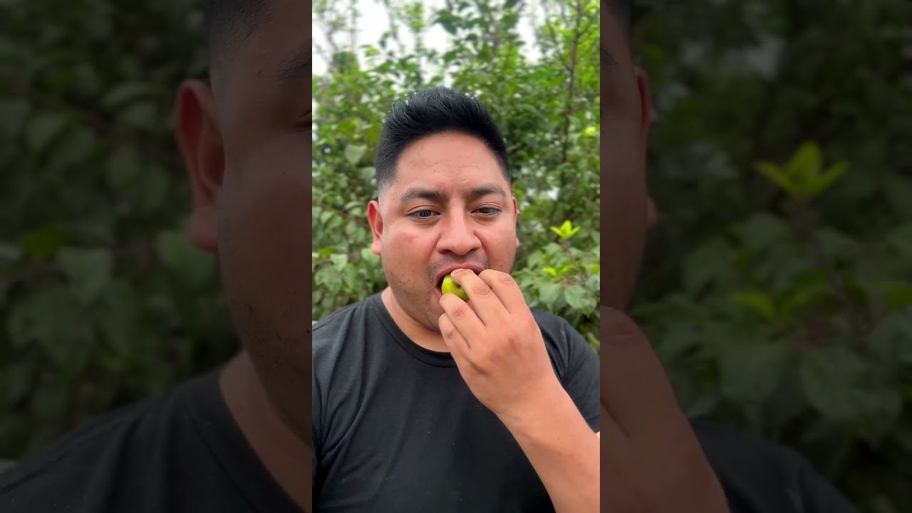 Guindas y Ciruelas | Guatemala 