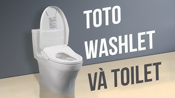 Trên tay nắp rửa điện tử TOTO Washlet và bàn cầu TOTO