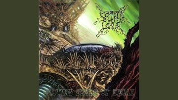 Abominated Hierarchy