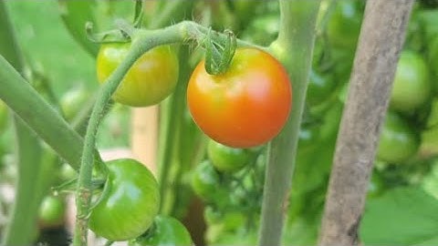 Seasons coming and going | PhotoLink Library