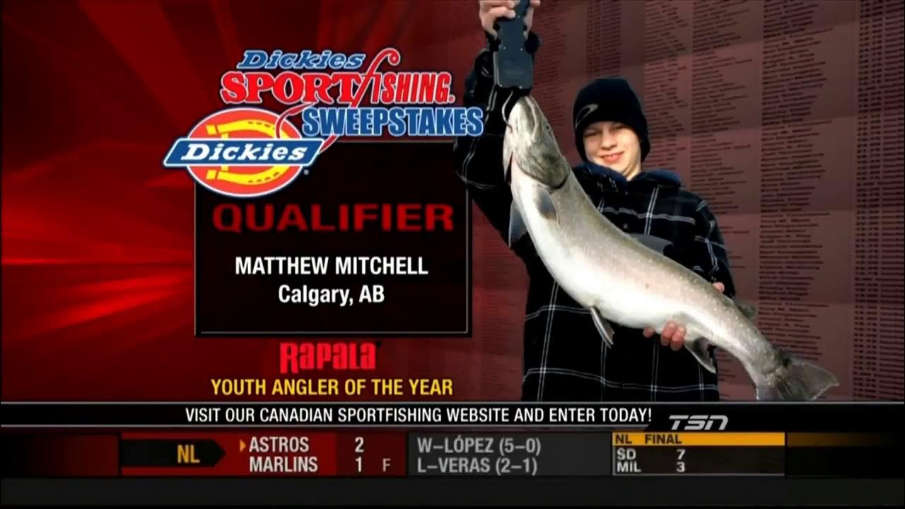 Telus OPTIK TV on XBOX 360 YouTube