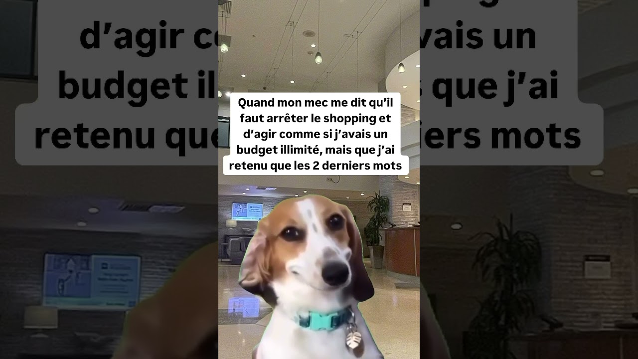 Elle croit trop qu’elle a un budget illimité 