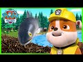 ¡Los cachorros ayudan a los peces a pasar sobre la presa de los castores! - PAW Patrol Español