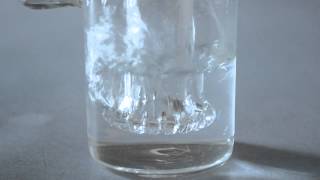 Tko 60Mm Removable Shower Head Bubbler