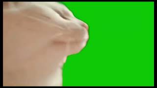 Cat Jamming to music Green Screen |1080p 60FPS #mem #cat #lol #2023