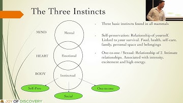 The Three Enneagram Instincts