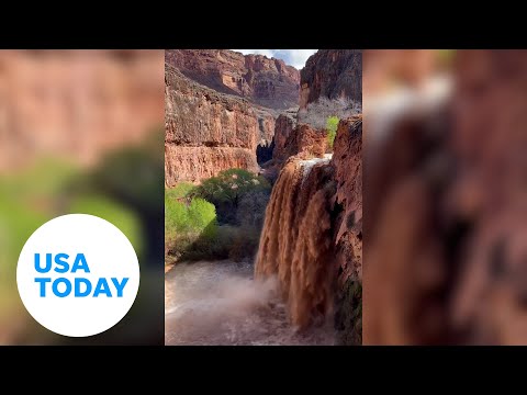 Grand Canyon flash flooding forces hikers, campers to evacuate | USA TODAY