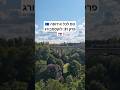 טס לכל המדינות באירופה 31: לוקסמבורג 🇱🇺 #travel #vlog #europe #eurotrip #luxembourg