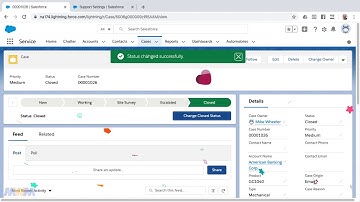 Where Did My Case Closed Status Go ?!? Salesforce Spring 