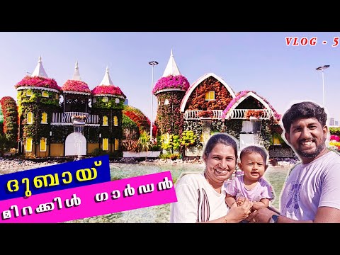 Dubai Miracle Garden | മിറക്കിൾ ഗാർഡൻ| UAE VLOG-5| #trending #viral #dubaimiraclegarden #uae #dubai