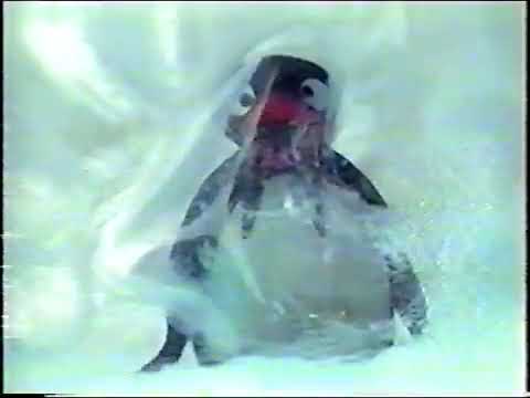 PBS Kids Sprout Pingu Promo 2005 2006
