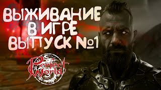 видео: ВЫЖИВАНИЕ В ИДЕАЛЬНОМ МИРЕ ЗА МАГА! PERFECT WORLD! МОЖНО ЛИ СТАТЬ МОЩНЫМ ПОСЛЕ ОБНОВЛЕНИЯ, ВЫПУСК №1 картинка: ВЫЖИВАНИЕ В ИДЕАЛЬНОМ МИРЕ ЗА МАГА! PERFECT WORLD! МОЖНО ЛИ СТАТЬ МОЩНЫМ ПОСЛЕ ОБНОВЛЕНИЯ, ВЫПУСК №1