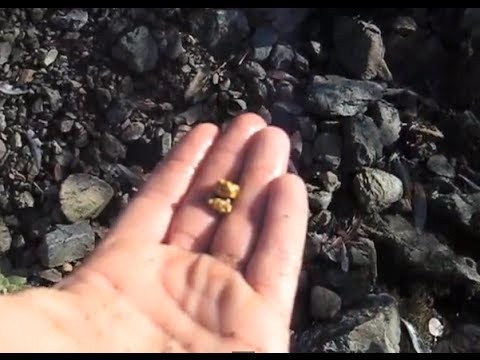 Garrett Infinium finds Gold Nugget in N. California