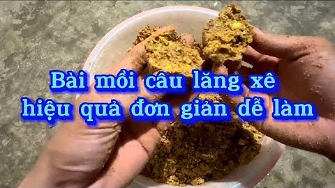 Bài mồi câu lăng xê|Câu cá trắm, cá chép, cá trôi tự nhiên hiệu quả đơn giản dễ làm✅#moclure #cauca