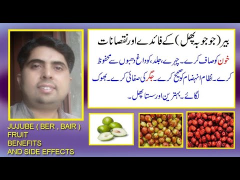 Ber Bair Phal Kay Fayday Aor Nuqsanat In Urdu Hindi Jujube Fruit Benefits And Sideeffects Youtube Ber Bair Phal Kay Fayday Aor Nuqsanat In Urdu Hindi Jujube Fruit Benefits And Sideeffects Youtube