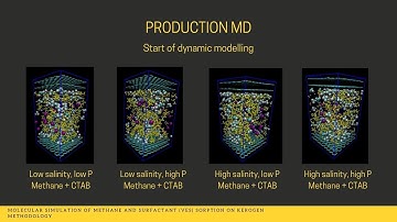 Molecular Simulation of Methane and Surfactant (VES) Sorption on Kerogen
