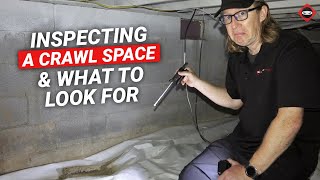 Crawl Space Inspection Tips | Choose The Right Contractor