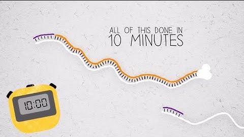 RT-PCR in 10 Minutes: Fast Reverse Transcription Explained