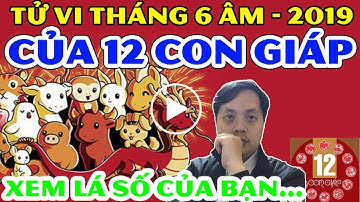 Tử Vi Tháng 6 Âm Lịch Năm 2019: Tổng Quan Về Sự Nghiệp Tài Lộc Tình Duyên & Sức Khỏe của 12 Con Giáp
