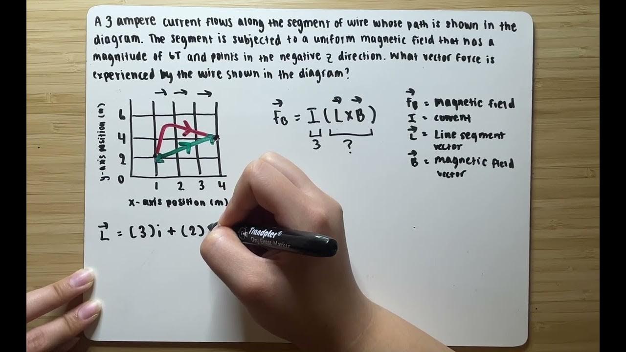 12+ Calculating Magnetic Force