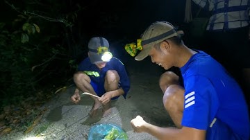 Cắm câu cá lóc đêm tại đồng nai kết quả thật bất ngờ