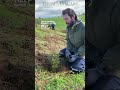 How to plant a tree with Brady