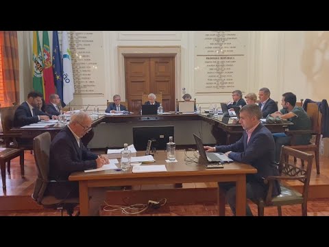 Famalicão: Câmara aprova orçamento de 700 mil euros para as Festas Antoninas