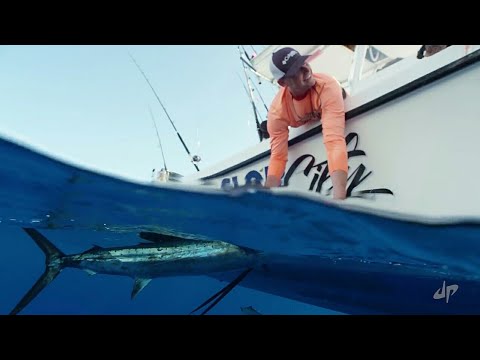 Battles S1 E2 80 A2 E35 Deep Sea Fishing Battle Dude Perfect Boat Edition Fish Best Marine Hunting Battles S1 E2 80 A2 E35 Deep Sea Fishing Battle Dude Perfect Boat Edition Fish Best Marine Hunting
