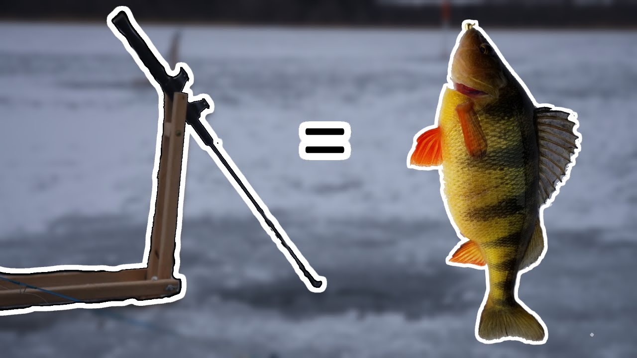 HOW TO: Fish With Tip-Downs (Best Method) 🔴 