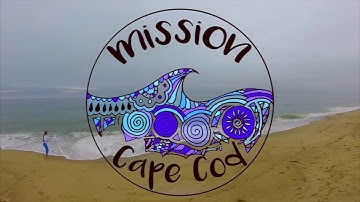 Future Problem Solvers:  Community Problem Solving Entry 2018